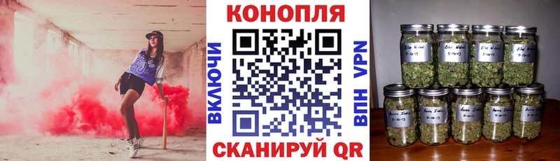 Как найти закладки Тихвин Канабис  Cocaine  Alpha-PVP  блэк спрут ссылка  ГАШ 