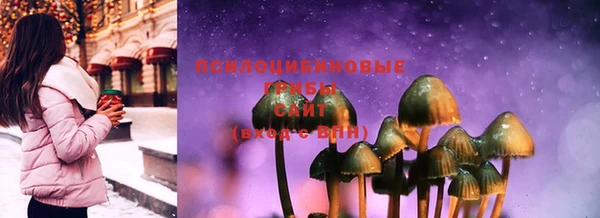 прущая мука Новодвинск