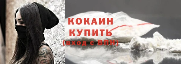 мдпв Новозыбков