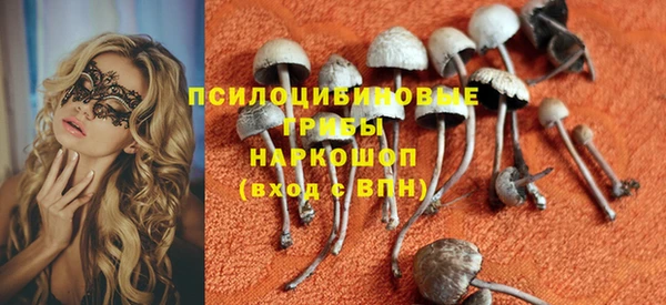 прущая мука Новодвинск