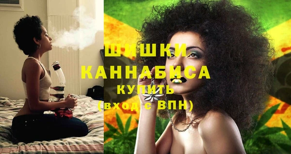 мдпв Новозыбков