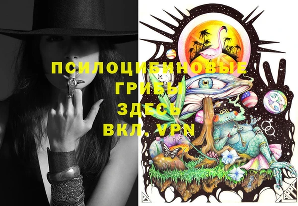 мдпв Новозыбков