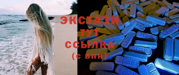 мдпв Новозыбков