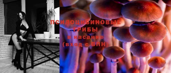 мдпв Новозыбков