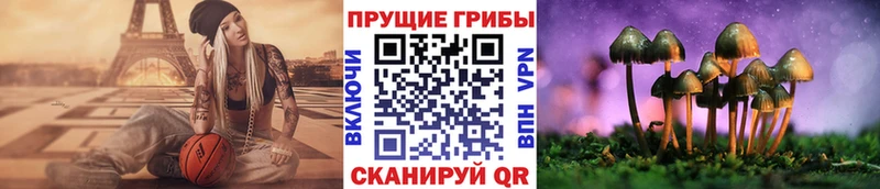 Псилоцибиновые грибы GOLDEN TEACHER  где купить наркоту  Тихвин 