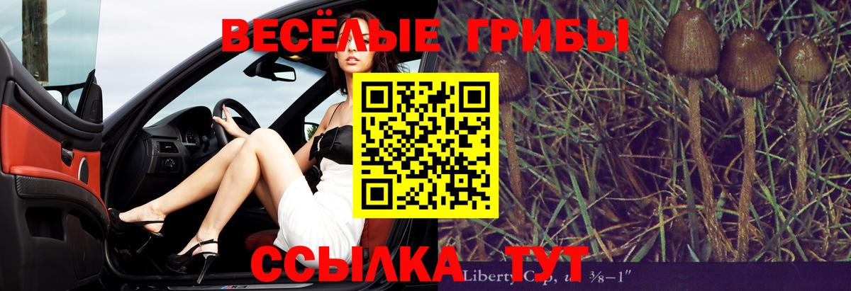 Псилоцибиновые грибы Psilocybine cubensis  Вход с VPN  Тихвин 
