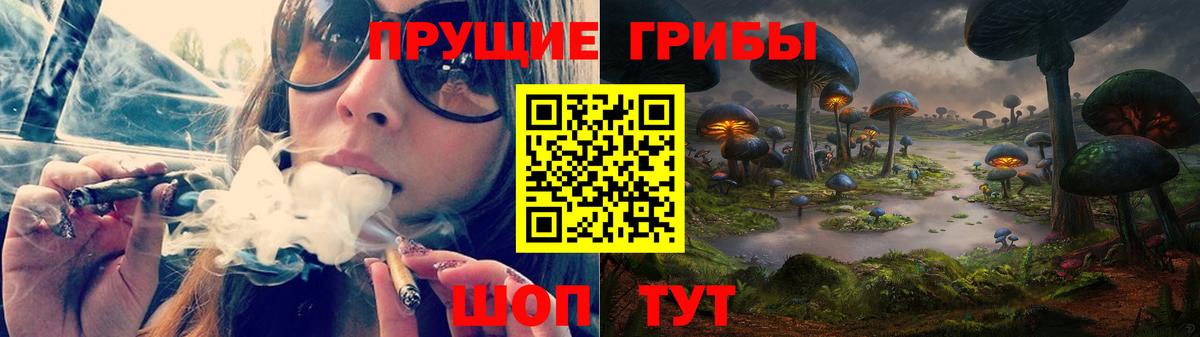 Галлюциногенные грибы прущие грибы Тихвин